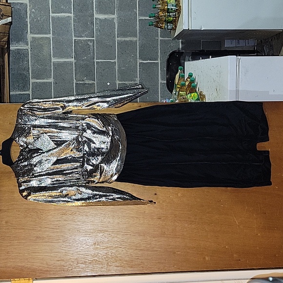 Silver Dress - Picture 1 of 4